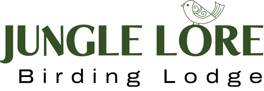 Jungle Lore Birding Lodge
